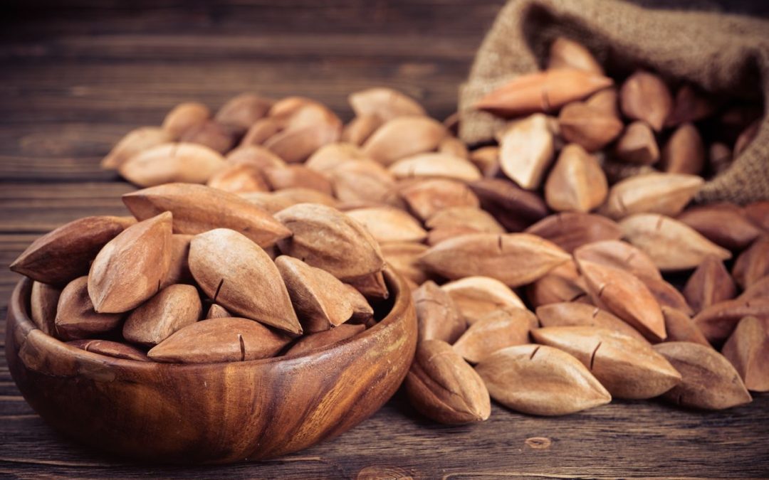 everything-you-should-know-about-pili-nuts