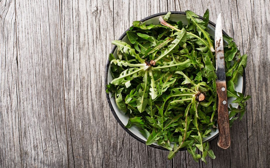 dandelion-greens-–-health-benefits-and-side-effects