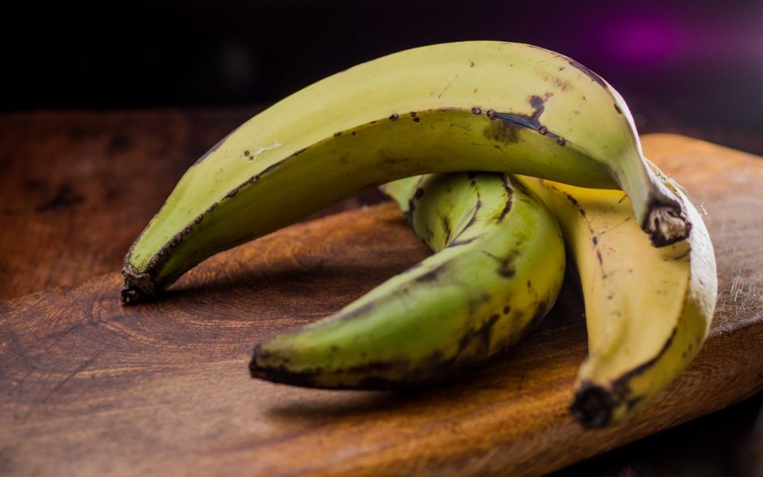 plantains-–-the-banana-lookalike-and-its-health-benefits