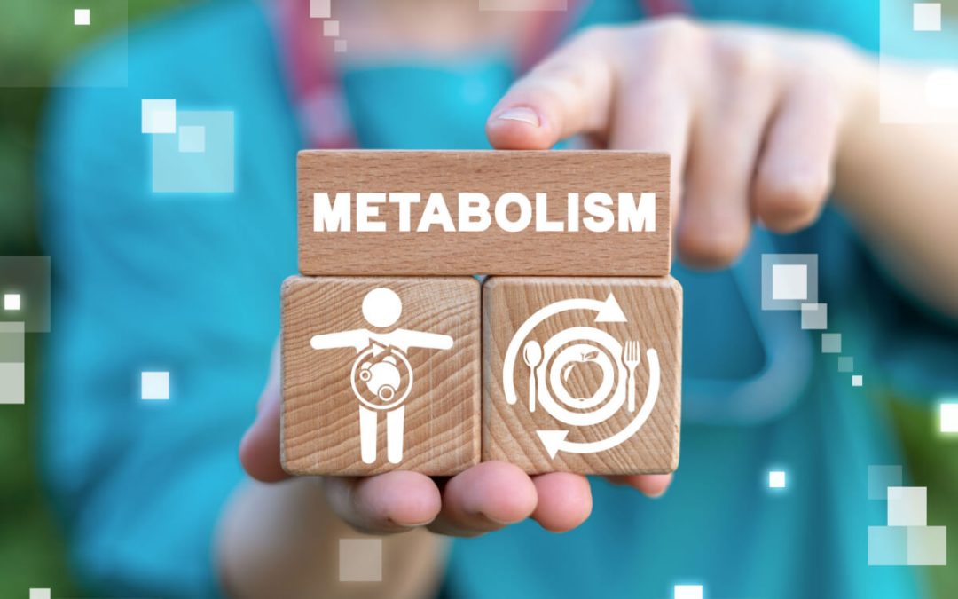 decoding-common-myths-about-metabolic-health