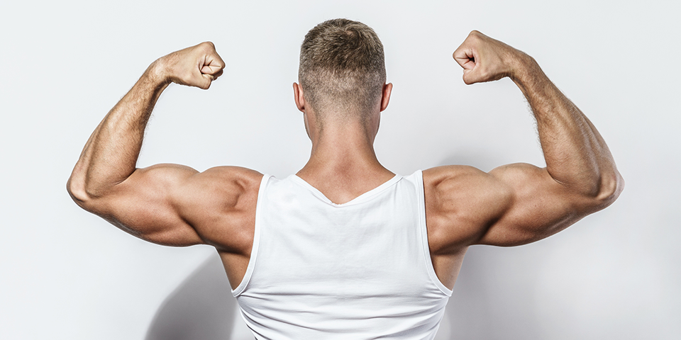 Expert Tips and Tricks to Build Arm Muscle