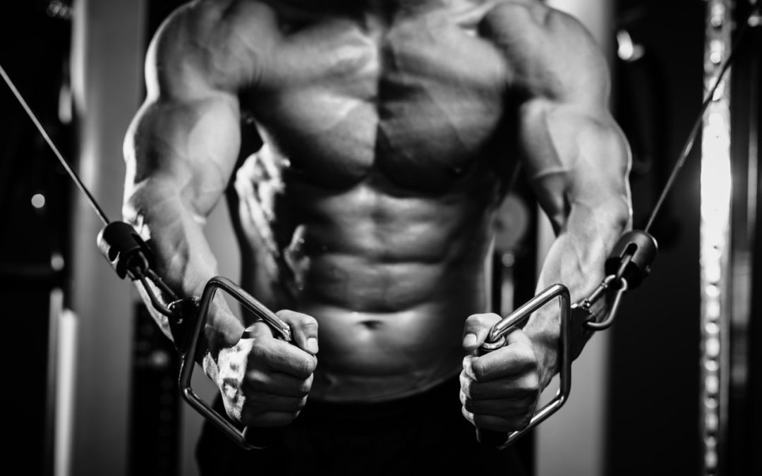 the-6-best-pro-tips-to-building-muscles
