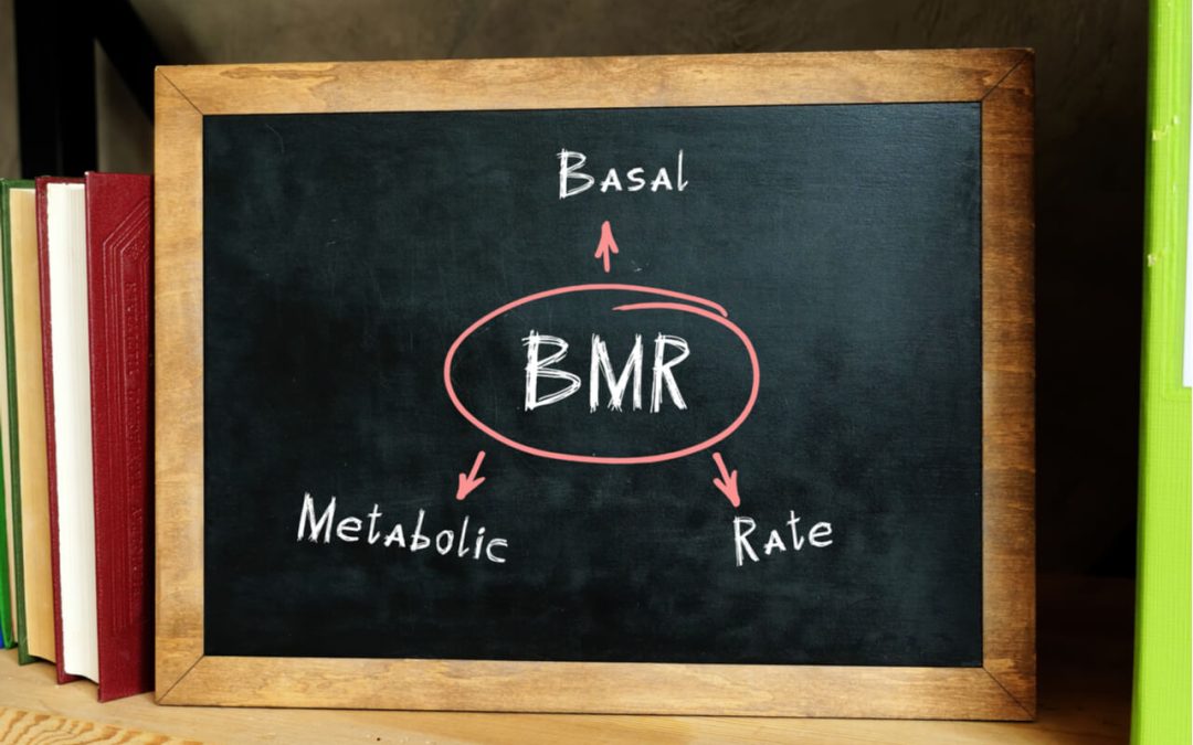 bmr-calculator-–-how-many-calories-do-i-need-to-achieve-my-fitness-goal?