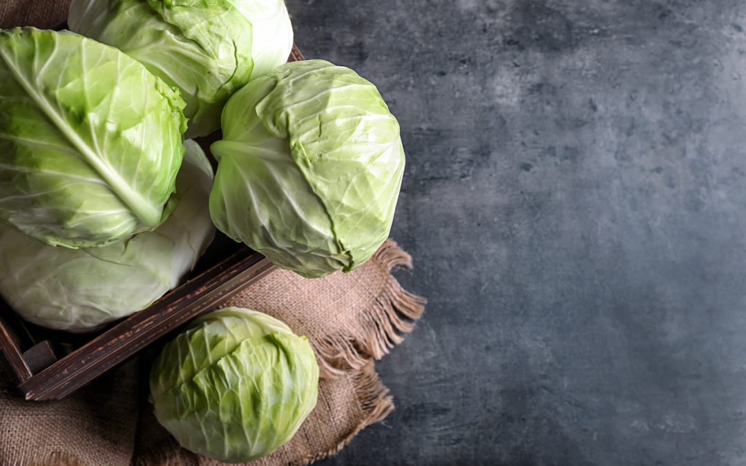 is-cabbage-good-for-diabetics?-let's-find-out