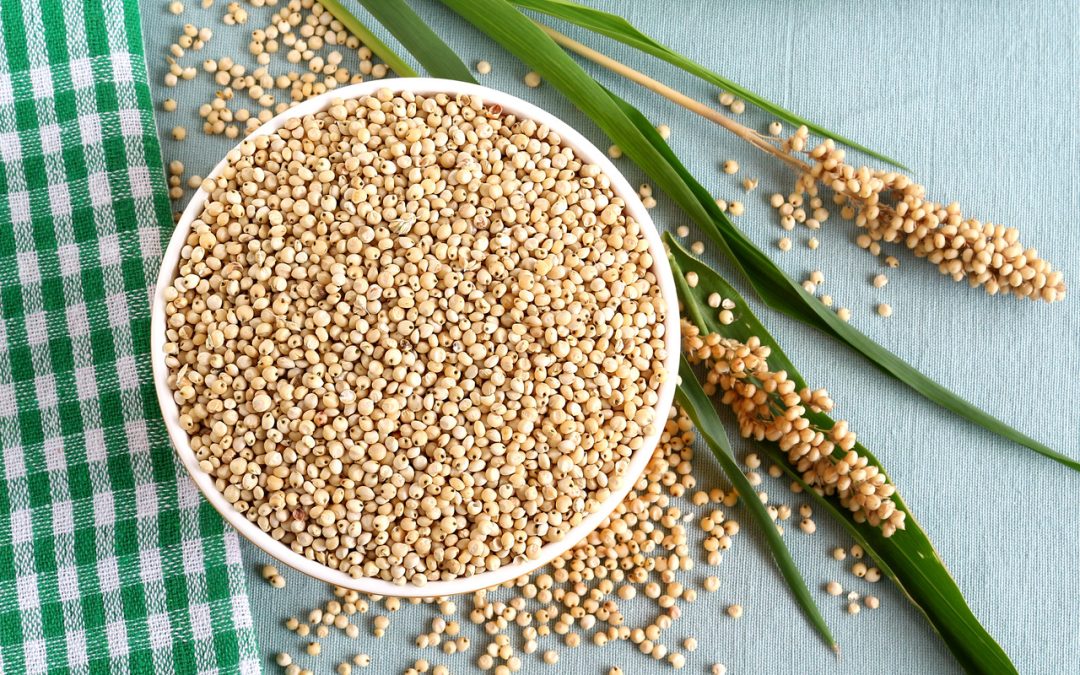 Is Jowar Good for Diabetes? Let's Find Out