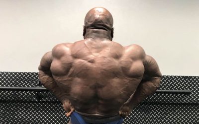 Shaun Clarida Shows Off 86-Kilogram (190-Pound) Body Weight Ahead of 2023 Arnold Classic – Breaking Muscle