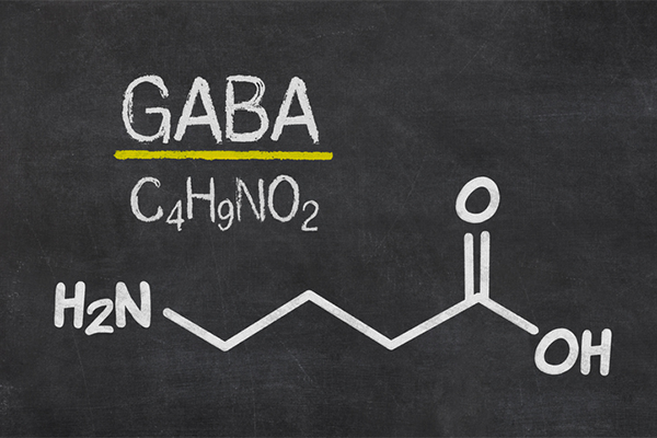 Everything You Need to Know About GABA