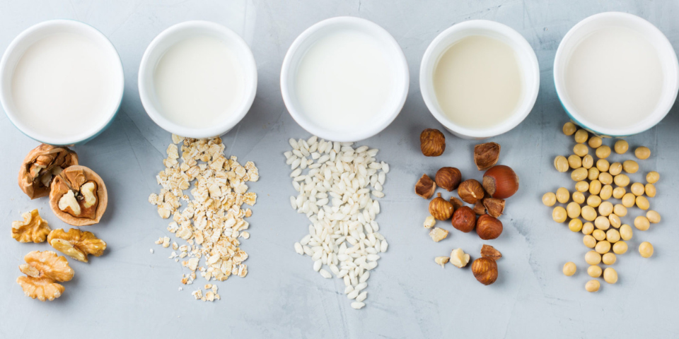 From Cows to Crops: An Overview of the Healthiest Milks