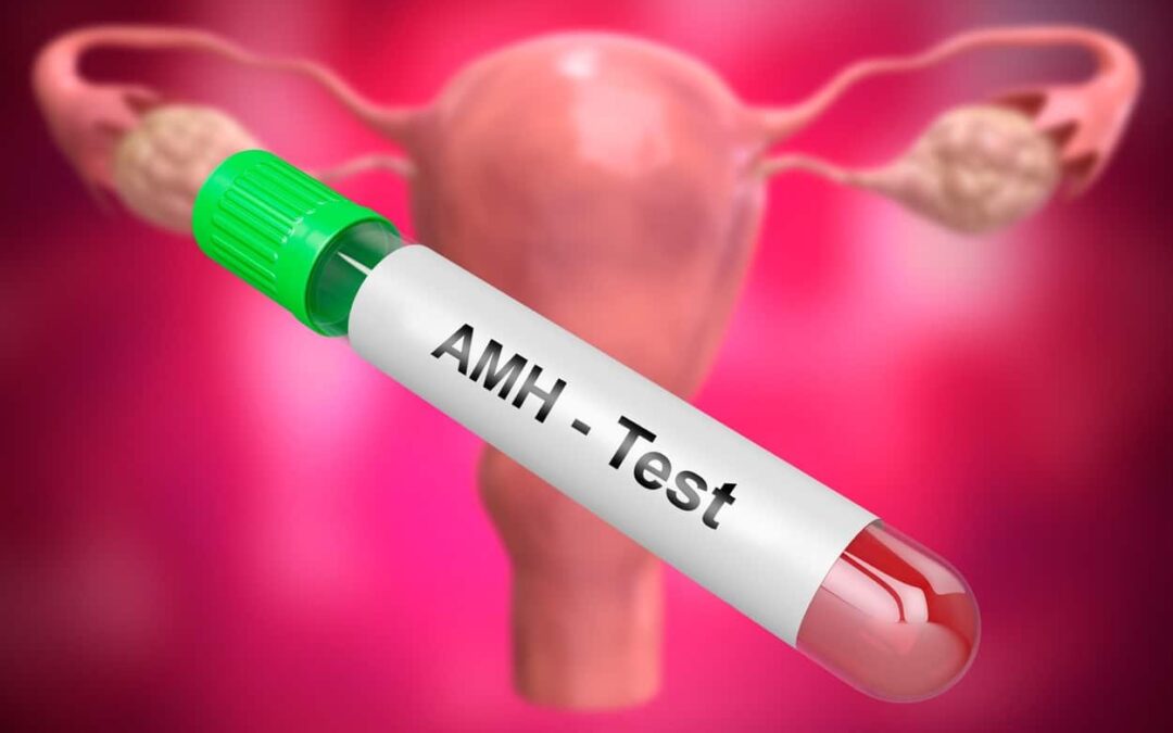AMH Levels: A Key To Reproductive Health: HealthifyMe